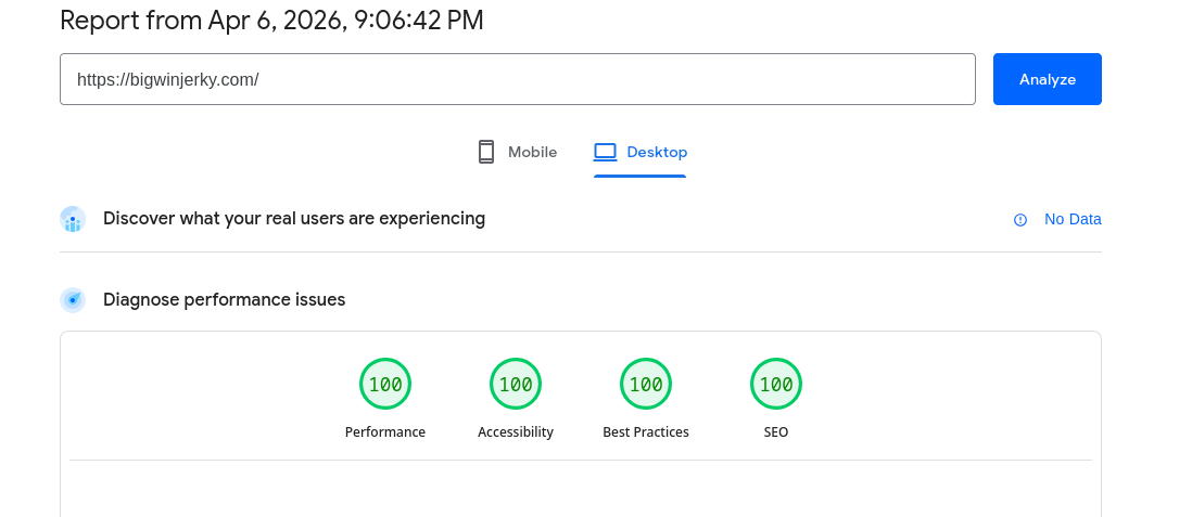 Lighthouse report for BigWinJerky.com showing perfect scores across all four categories.